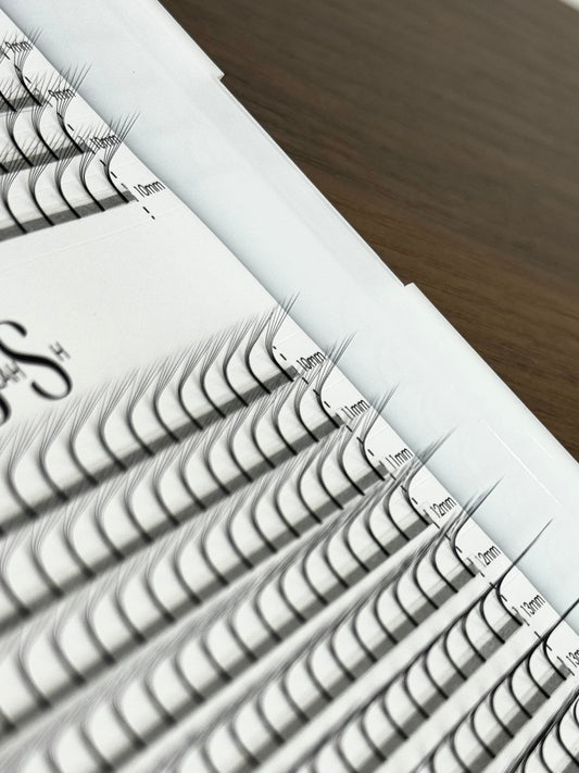 Premade fan - 0.07M curl - 640 Bouquets - 5D Alice's beauty Studio